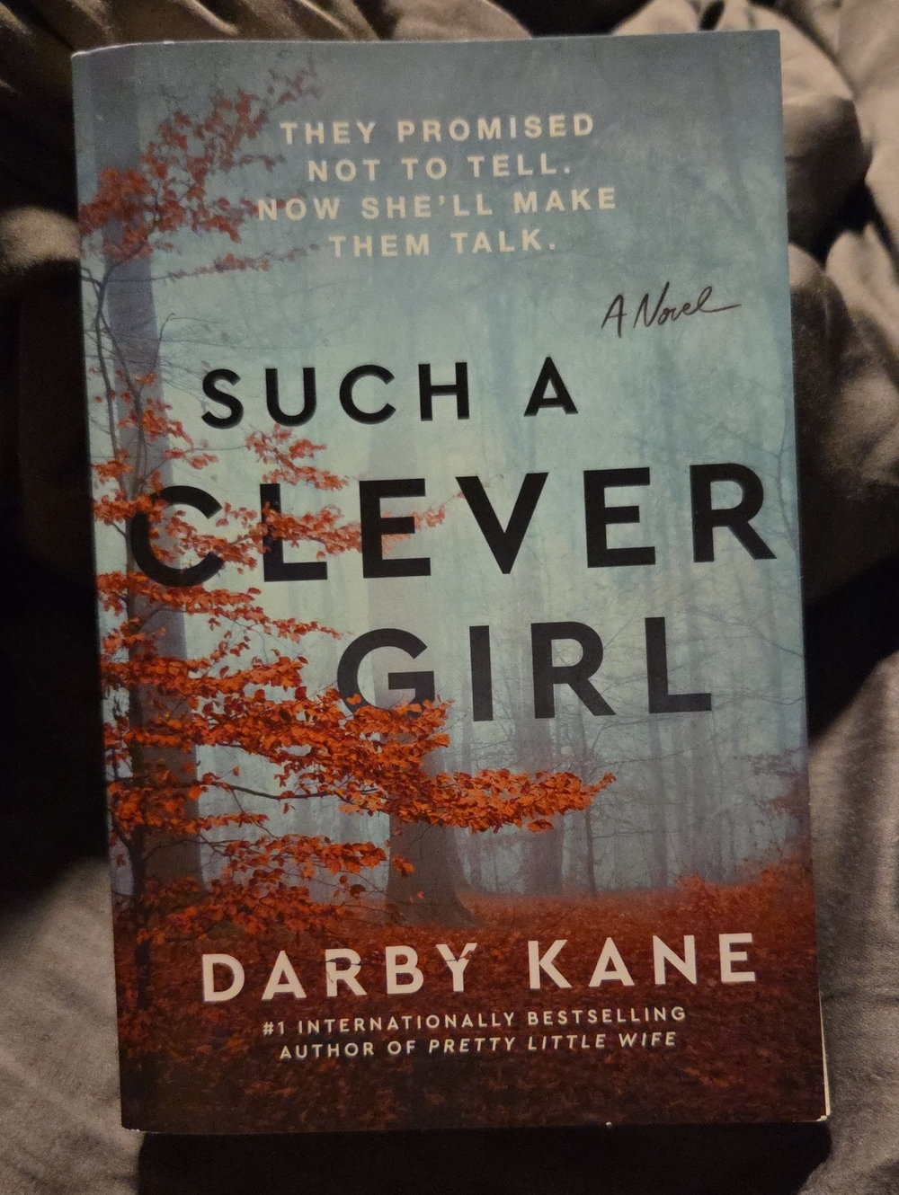 4 For $20 - Such A Clever Girl by Darby Kane